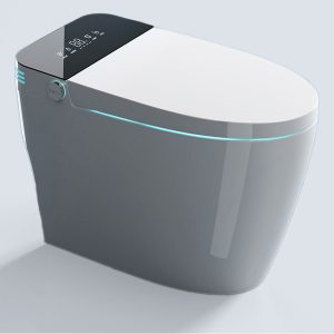 Smart toilet